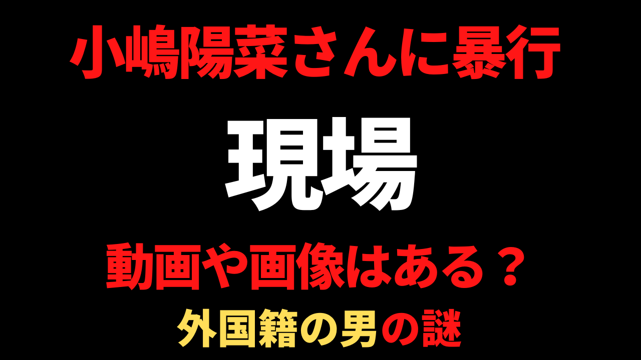 小嶋陽菜暴行の動画や現場画像はある？外国籍の男の顔は特定？